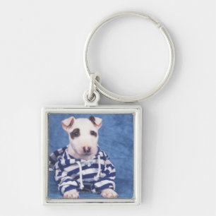 Chaveiro Bull terrier é uma raça do cão no