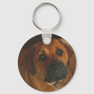 Chaveiro BullMastiff