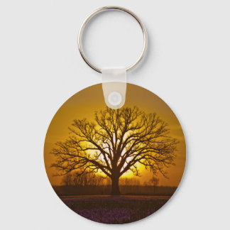 Chaveiro Bur Oak Sunset