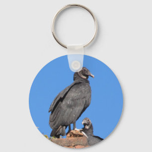 Chaveiro Buzzards que olham o anéis chaves