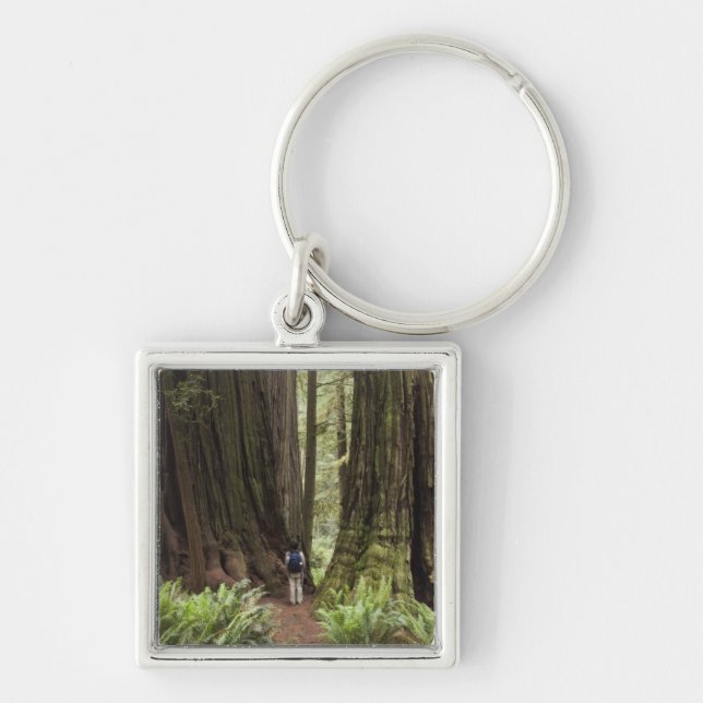 Chaveiro CA, Jedediah Smith Redwoods State Park, (Frente)