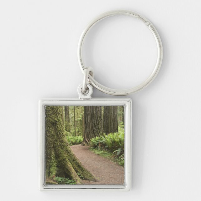 Chaveiro CA, Jedediah Smith State Park, Simpson-Reed (Frente)