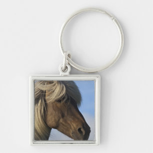 Chaveiro Cabeça de cavalo islandês, Islândia
