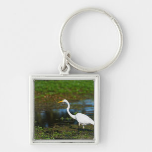 Chaveiro Caça ao Egret