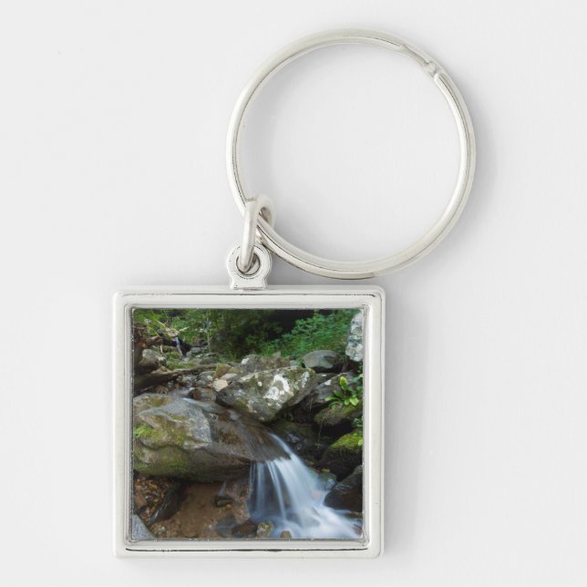 Chaveiro Cachoeira Lower Dark Hollow, Shenandoah (Frente)