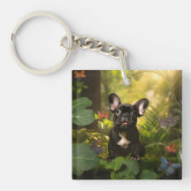 🐶💗Cachorrinho Frenchie doce na selva