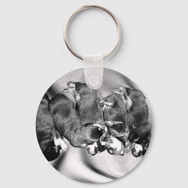 Chaveiro cachorrinhos-de-sono (Frente)