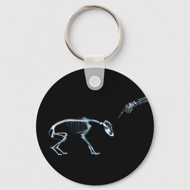 Chaveiro Cachorro Azul de Skeletons de Raios X (Frente)