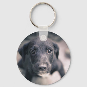 Chaveiro Cachorro-Cachorro Super Bonito