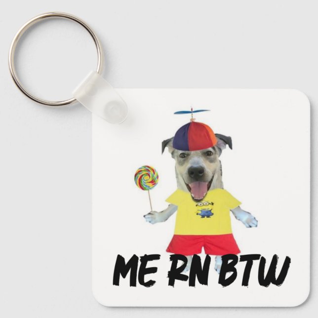 Chaveiro Cachorro chapéu hélice citação engraçada (Frente)
