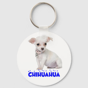 Chaveiro Cachorro Chihuahua Branco de Coração Azul