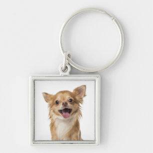 Chaveiro Cachorro Chihuahua de Cabelo Longo Amor