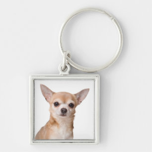 Chaveiro Cachorro Chihuahua Filhote