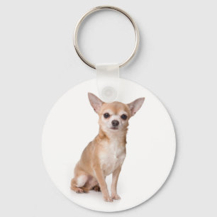 Chaveiro Cachorro Chihuahua Filhote