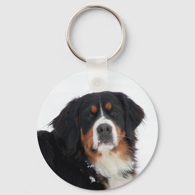 Chaveiro Cachorro da Montanha Bernese (Frente)