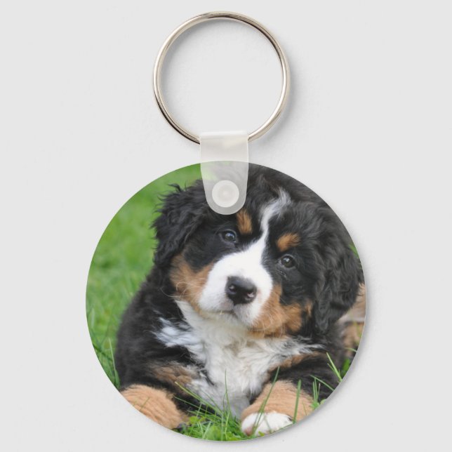 Chaveiro Cachorro da Montanha Bernese (Frente)