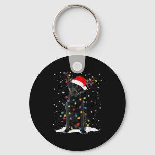 Chaveiro Cachorro de pijama com luz de árvore de Natal Labr