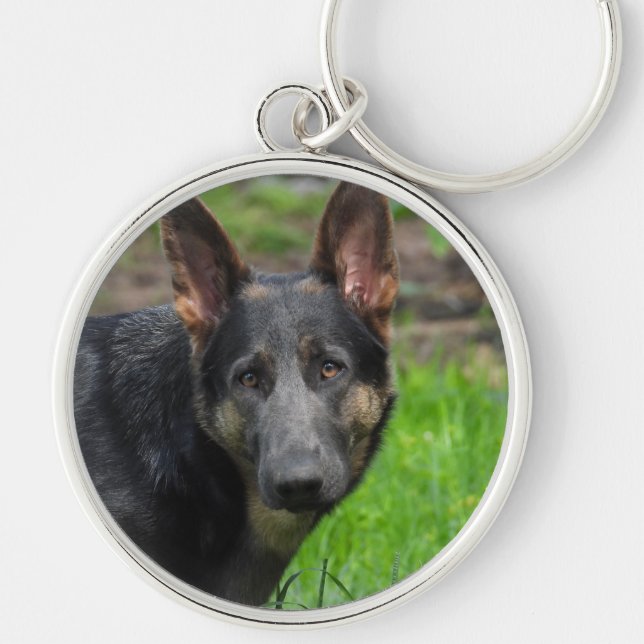 Chaveiro Cachorro German shepherd azul (Frente)