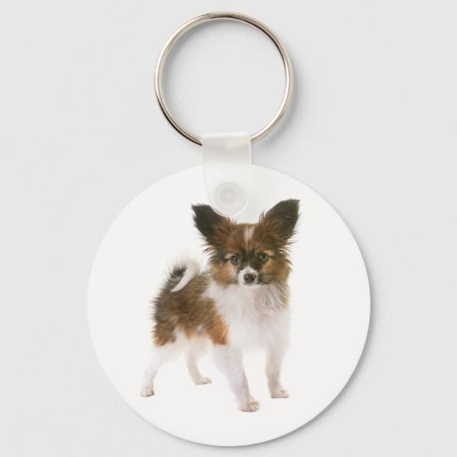 Chaveiro Cachorro Papillon Marrom e Branco (Frente)