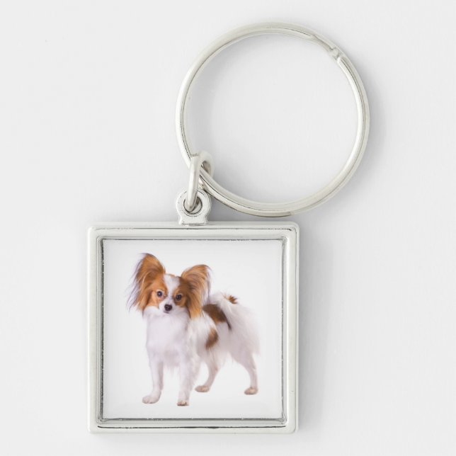 Chaveiro Cachorro Papillon Marrom e Branco (Frente)