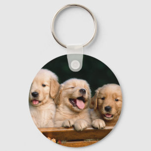 Chaveiro cachorros