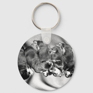 Chaveiro cachorros-do-mar