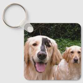 Chaveiro Cachorros Golden Retrievers Peter Fox e Mom Keycha