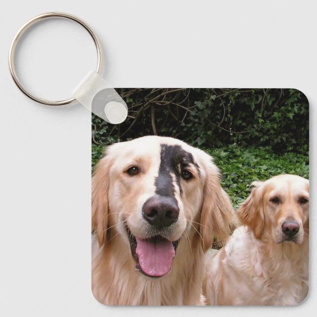 Chaveiro Cachorros Golden Retrievers Peter Fox e Mom Keycha (Frente)