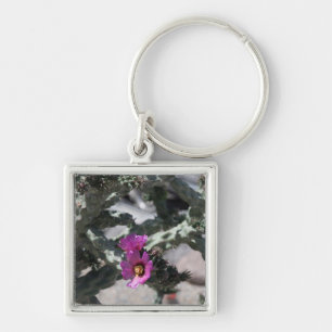 Chaveiro Cacto Challa em flor