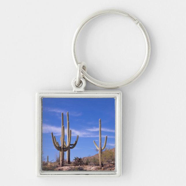 Chaveiro Cacto Saguaro gigante multi braçado, Saguaro (Frente)