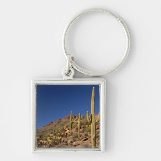 Chaveiro Cactos do Saguaro e montanhas de Tucson, Tucson (Frente)