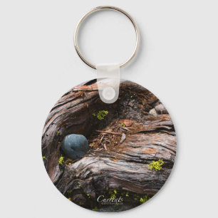 Chaveiro Cadeia de Chave de Atualizações