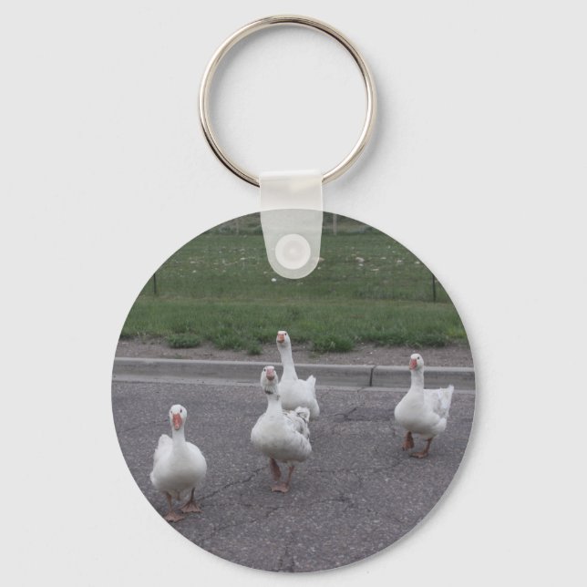 Chaveiro Cadeia de Chave Duck (Frente)
