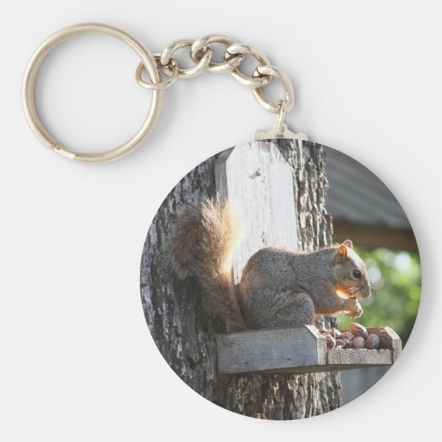 Chaveiro Cadeia de Chaves de Esquilo (Frente)