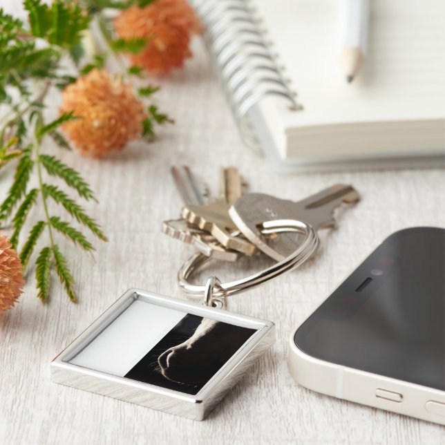 Chaveiro Cadeia de Chaves de Visualização (Lateral)