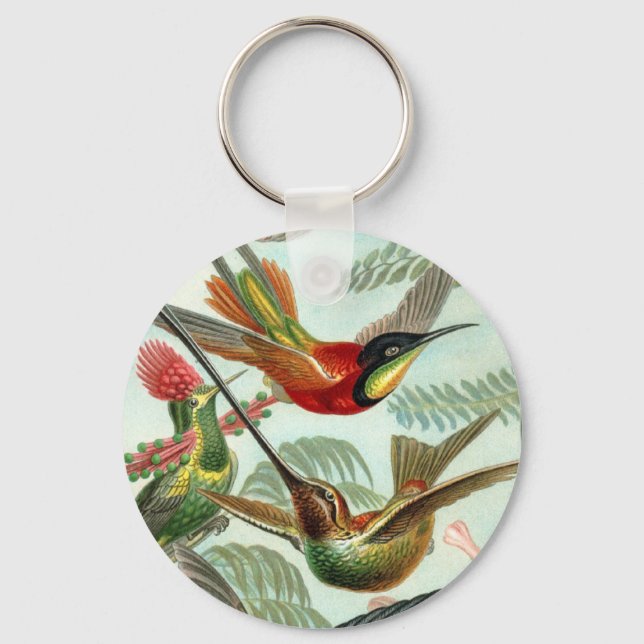 Chaveiro Cadeia de Chaves do Hummingbird (Frente)