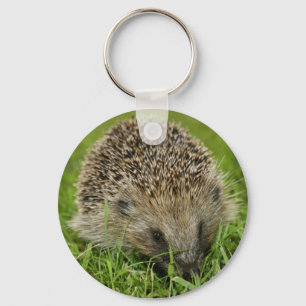 Chaveiro Cadeia de Chaves Hedgehog