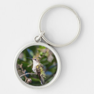 Chaveiro Cadeia de Chaves Hummingbird Throated Ruby #4Q7A53