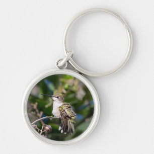 Chaveiro Cadeia de Chaves Hummingbird Throated Ruby #4Q7A53
