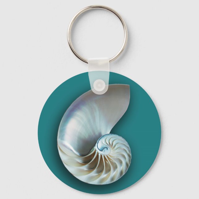 Chaveiro Cadeia de Chaves Nautilus Shell (Frente)