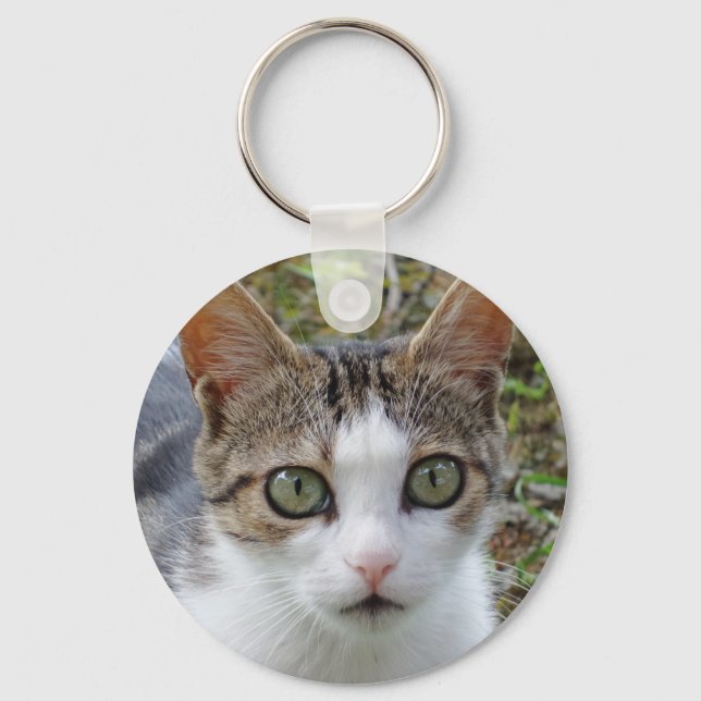 Chaveiro Cadeia de Chaves Tabby Cat (Frente)