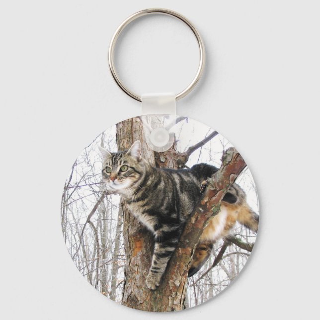 Chaveiro Cadeia de Chaves Tabby Cat (Frente)