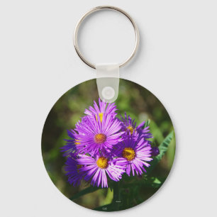 Chaveiro Cadeia de teclas Aster