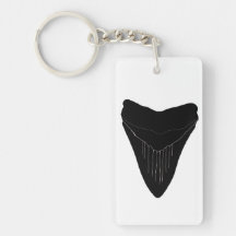 Cadeia de teclas dos dentes do tubarão Megalodon