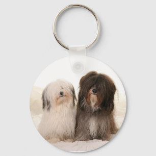 Chaveiro Cães