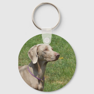 Chaveiro Cães fazem nossas vidas inteiras - Weimaraner