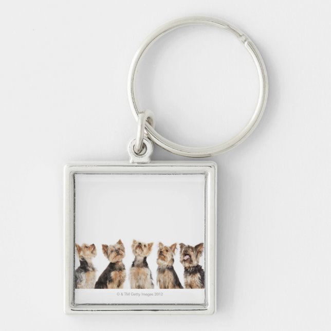 Chaveiro Cães idênticos que sentam-se junto (Frente)