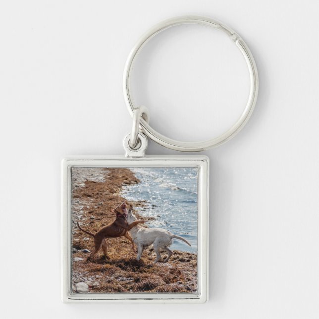 Chaveiro Cães na praia (Frente)