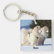 Cães Samoyed Personalizados na Neve