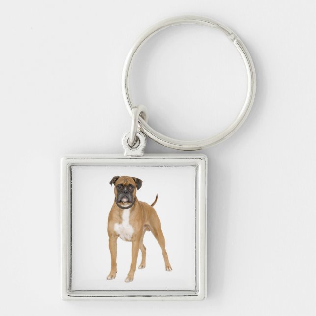 Chaveiro Caixa de Amante de Cachorro Boxer Fofo (Frente)